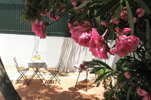 Roaz de Bandeira Guesthouse - image 11
