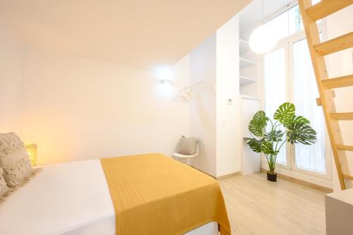 Techos altos y patio en el centro