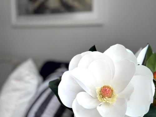 Apartment image 9
