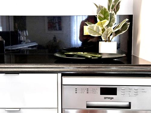 Apartment image 3