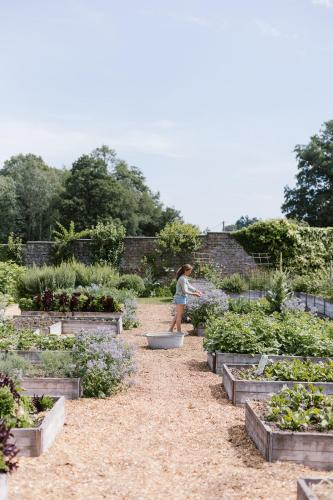 La cabane du potager - Ferme de Linciaux