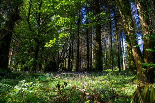 Omgeving, The Garden House, Necarne, Irvinestown in Irvinestown