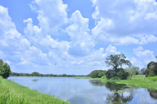 Wilpattu Jungle Resort in متنزه ويلباتو الوطني