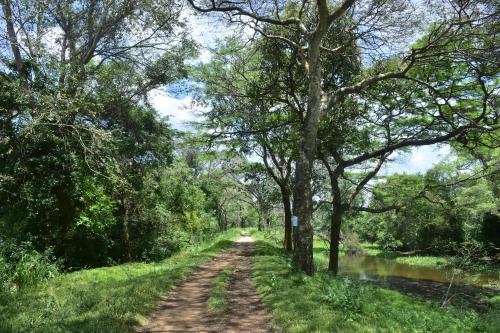 Wilpattu Jungle Resort in متنزه ويلباتو الوطني