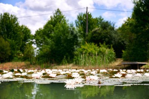 Glamping Dordogne