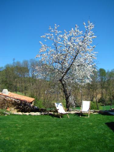 Quinta de Seves - image 10