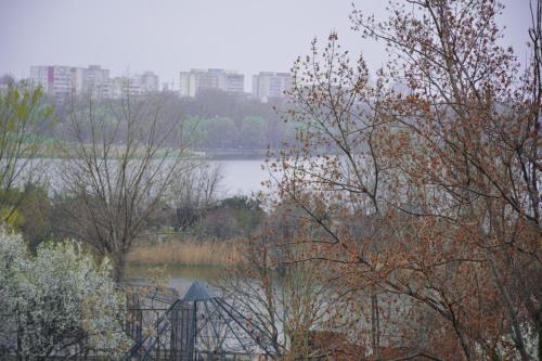 Hotel Golden Rose - image 13