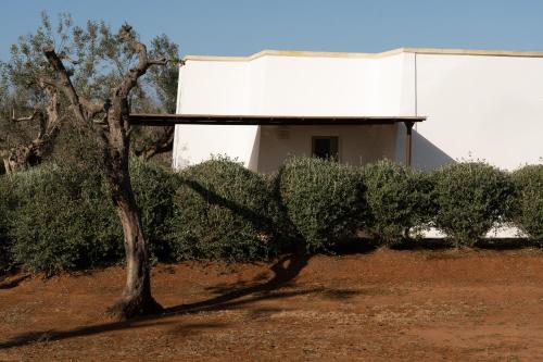 Sikalindi Apulian Farm&Living