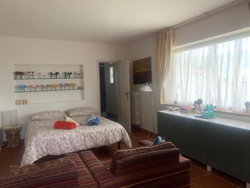 La stanza col giardino