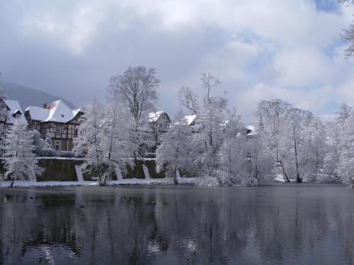 Hubertus Hof in Goslar City Center