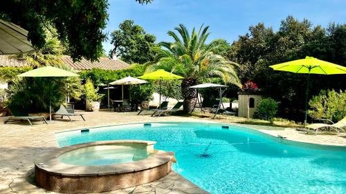 Santolines en Provence - Piolenc