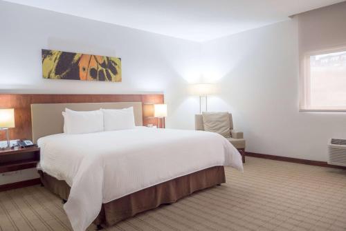 Wyndham Garden San Jose Escazu - image 3