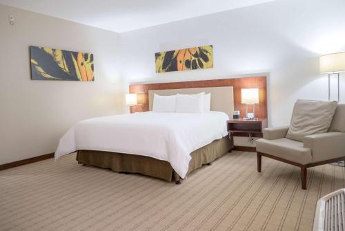 Wyndham Garden San Jose Escazu, Costa Rica, Сан-Хосе (фото 6)