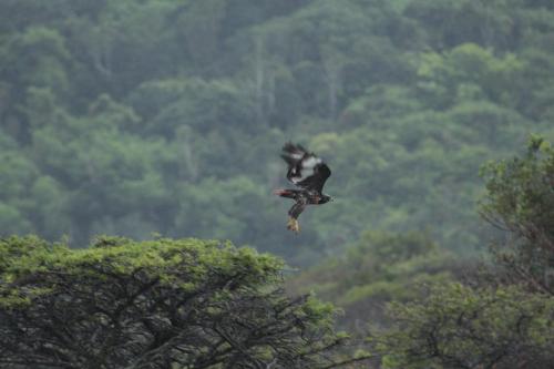 Inkwenkwezi Private Game Reserve