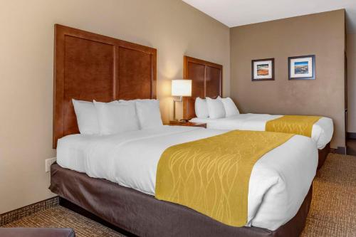 Comfort Inn & Suites - image 2