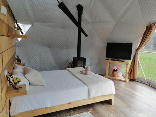 Glamping Quintana