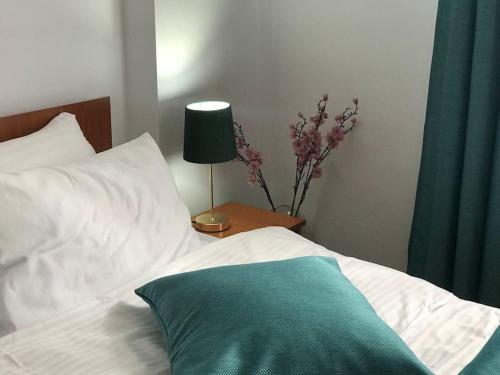 Fully furnished spacious 2bedroom apartment central Bucharest