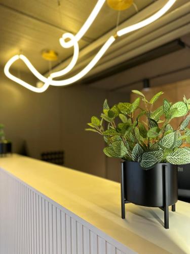 Inger Hotel - image 4