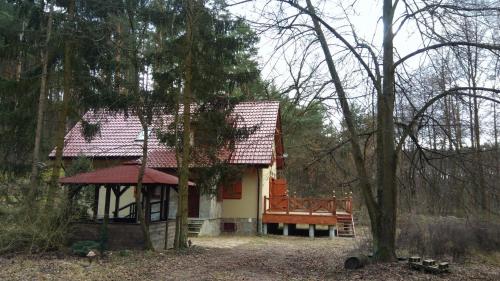 Cztery Pory Lasu in Serczineka