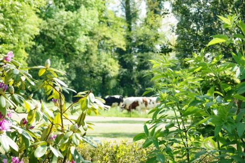 Vakantieboerderij 'Op den Pötter'