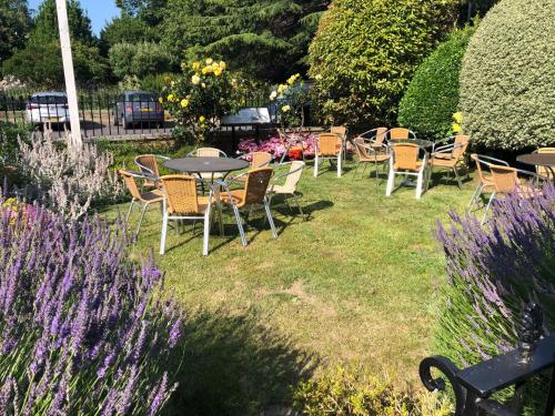 Anglesey Hotel - image 4