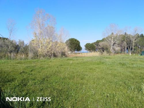Σπίτι δίπλα στη θάλασσα, Lefkimmi (foto 3)