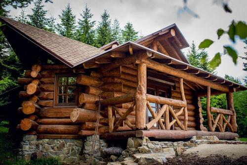 Forest House exclusive - Chalet - Skhidnitsa