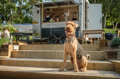 The Ship At Dunwich - image 4