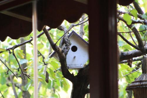 Pedalisa Ağva Otel in Ağva
