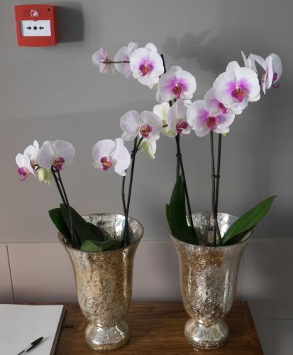 Hotel Art Santander - image 7