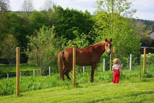  Au Journal Intime in Tenneville