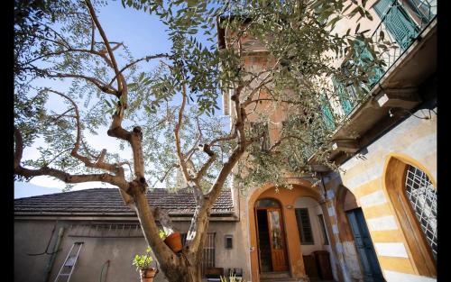 Cà del Conte Lake Como (Ca del Conte Lake Como) in Tremezzo