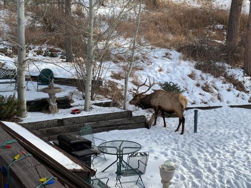 Inn of Glen Haven