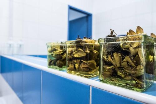 Boho Studio - Brno Cejl