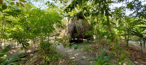 Eco-Camping Mango Feliz Rincón del Mar