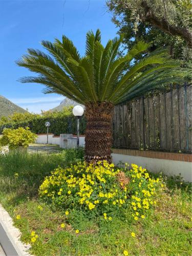 Hotel Residence Le Spiagge - image 9