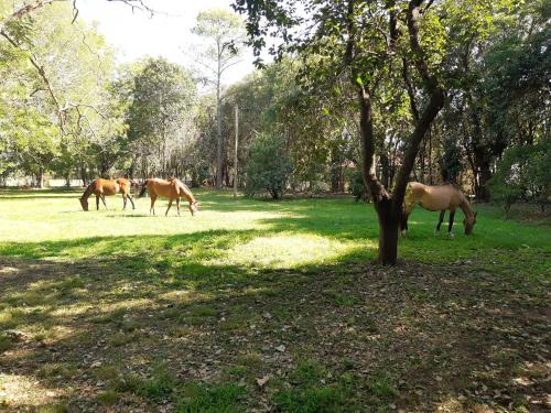 Casa de campo Spaequino La Colorada in Goldney