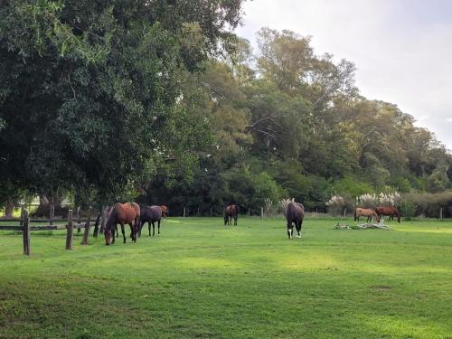 Casa de campo Spaequino La Colorada in Goldney