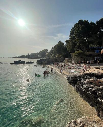 ทัศนียภาพภายนอกโรงแรม, Essos Villas in วลอรา