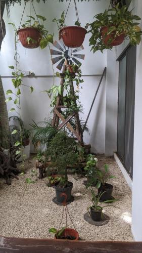 The Green Village Boutique Hotel in Playa del Carmen, Mexico