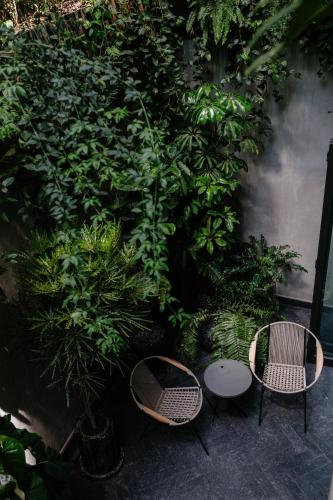 447940457 Colima 71 Art - Community - Hotel