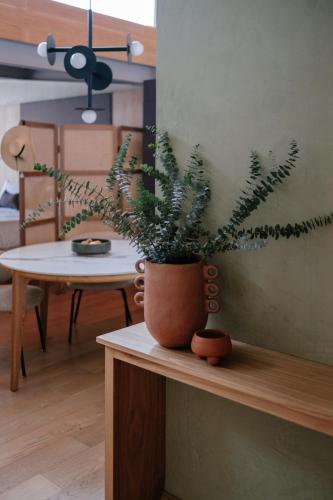 447940586 Colima 71 Art - Community - Hotel