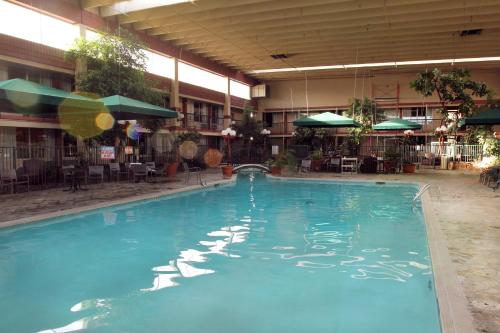 Swimming pool, Quality Inn & Suites I-25 North in Fort Collins (CO)