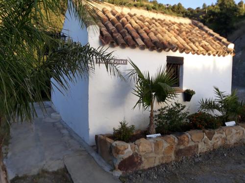 Tiny house 12m2 in holiday park with 55 m2 pool, Tolox (Foto 9)