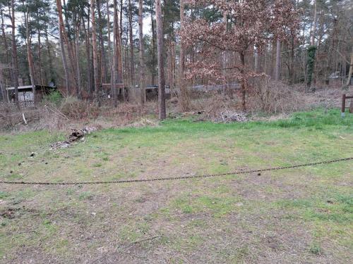 gemütlicher Bungalow am Rand der Dübener Heide (gemutlicher Bungalow am Rand der Dubener Heide) in Zschepplin