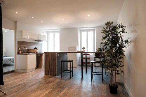 BEL APPARTEMENT RÉNOVÉ