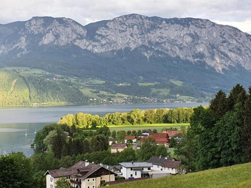 Ferienwohnung Claudia mit Terrasse - Apartment - Nussdorf am Attersee