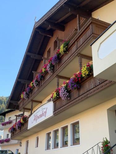 Appartement Alpenhof Wildschönau - image 8