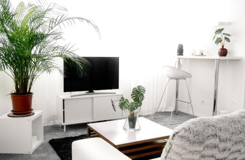 Petit Dodo - image 2