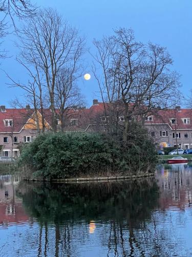 Oase van Haarlem, 15 minuten van Amsterdam